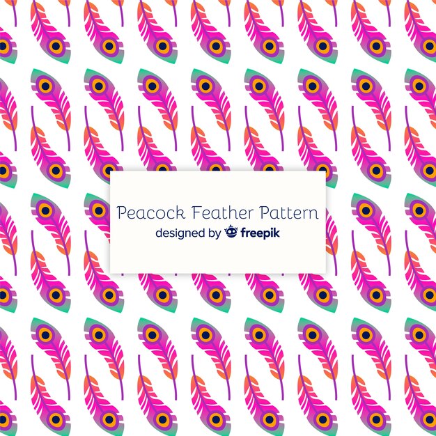 Decorative peacock feather pattern concept