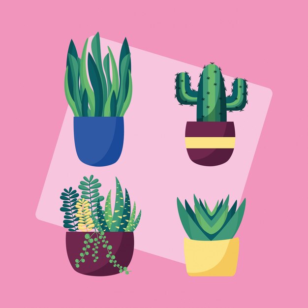 Decorative plants flat image design