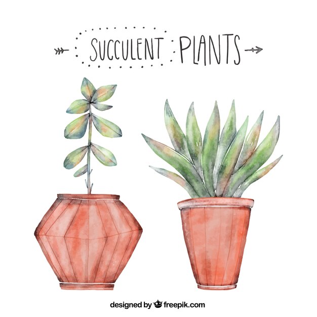 Decorative plants in watercolor style