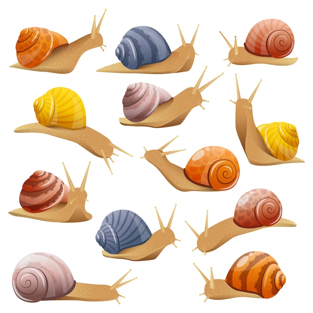 Free vector decorative snails set