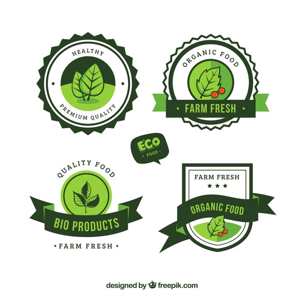 decorative stickers of organic food in green tones