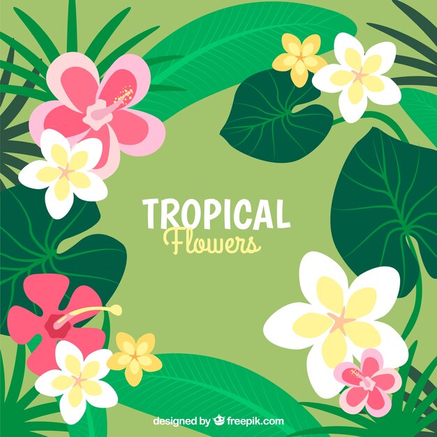 Decorative tropical background with flowers and leaves