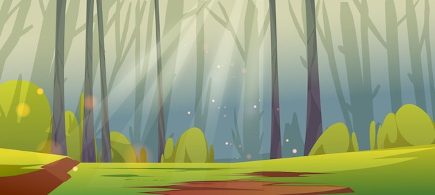 Deep forest with sunny glade green grass and tree trunks silhouettes Vector cartoon illustration of summer woods landscape with sunshine beams Jungle panorama with green lawn