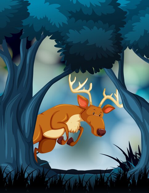 A deer in dark forest