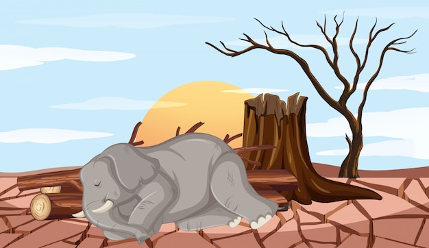 Сцена обезлесения со слоном и засухой