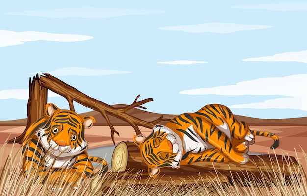 Free vector deforestation scene with weak tigers