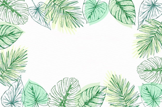 Бесплатное векторное изображение Нежная рамка для иллюстрации ботанического дизайна