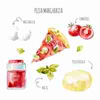 Vettore gratuito ricetta disegnata a mano deliziosa della margherita della pizza