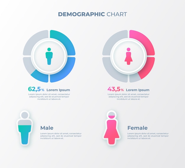 Demographic chart infographic design template