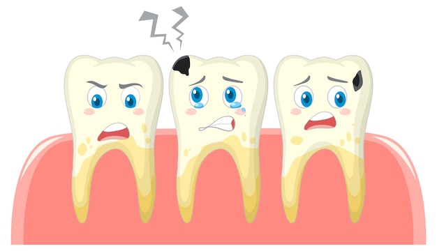 無料ベクター 白い背景の上の歯と異なる歯の状態