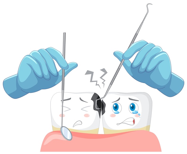 Dentista mano con modello di denti umani