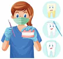 Free vector dentist holding teethbrush and human teeth model with different