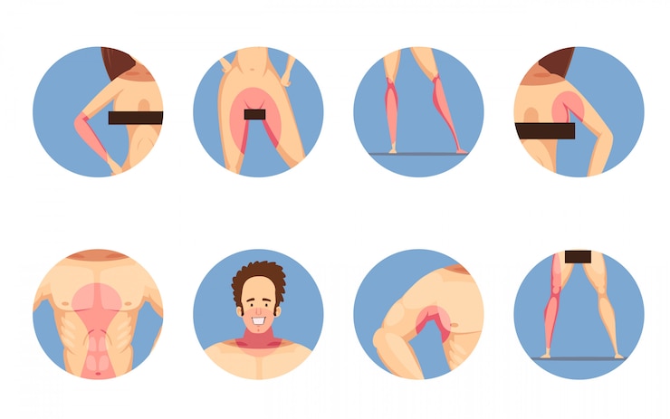 Free Vector depilation hair removal zones for men and women 