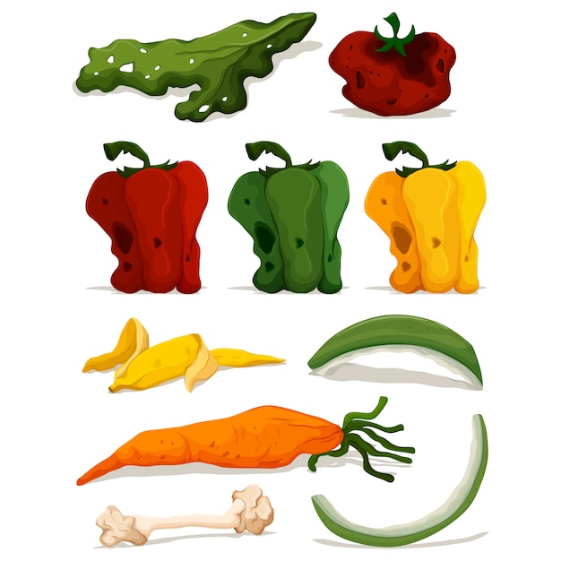 Descomposed vegetables collection