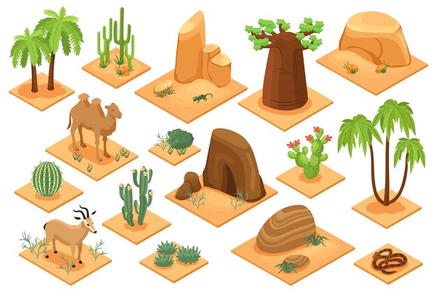 Desert elements isometric set with baobab palms cactuses succulents flora snake camel sandstones sand isolated vector illustration