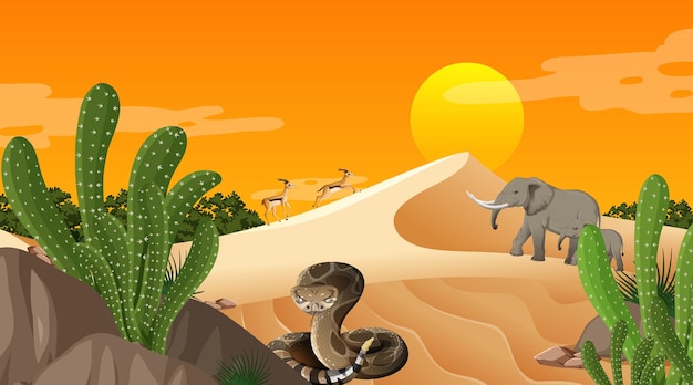 Desert forest landscape at sunset time scene with wild animals