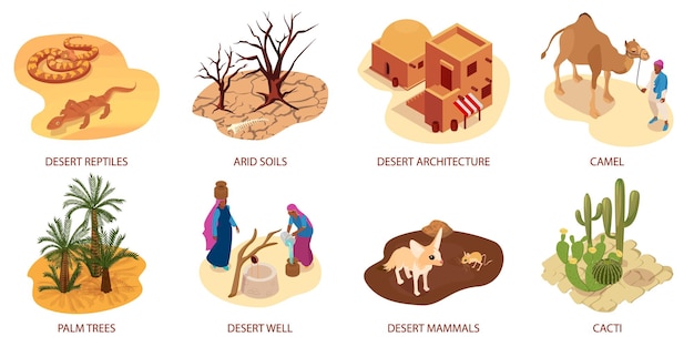 Desert isometric compositions with reptiles camel cactus palm trees arid soils architecture isolated vector illustration