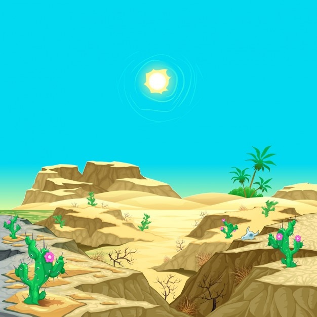 Desert landscape