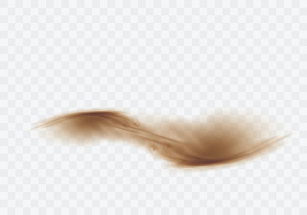 砂漠の砂嵐、透明の茶色の埃っぽい雲