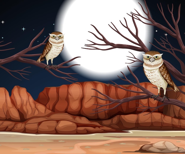 Desert with rock mountains and burrowing owl landscape at night\
scene