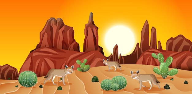 Desert with rock mountains and coyote landscape at sunset scene