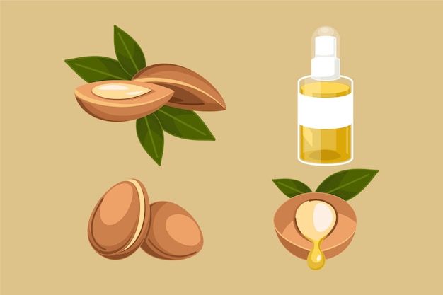 Raccolta dettagliata di elementi di olio di argan