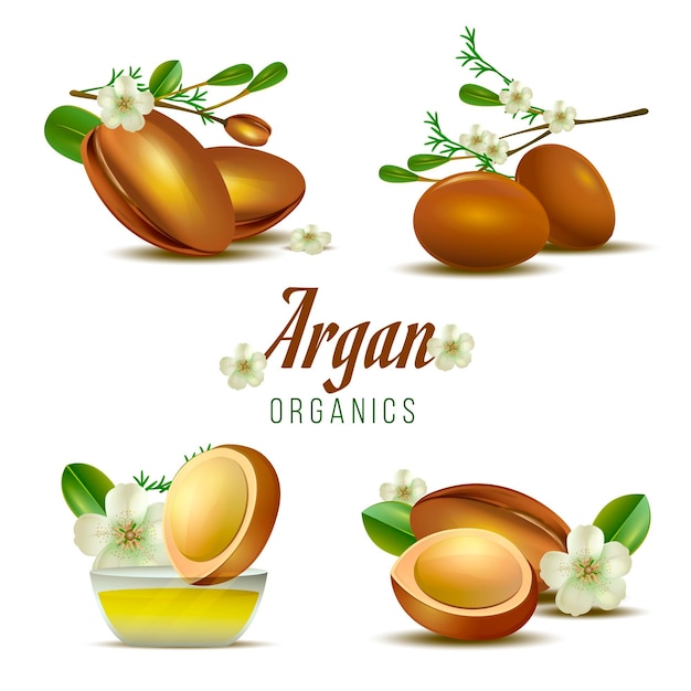 Pacchetto di elementi olio di argan dettagliato