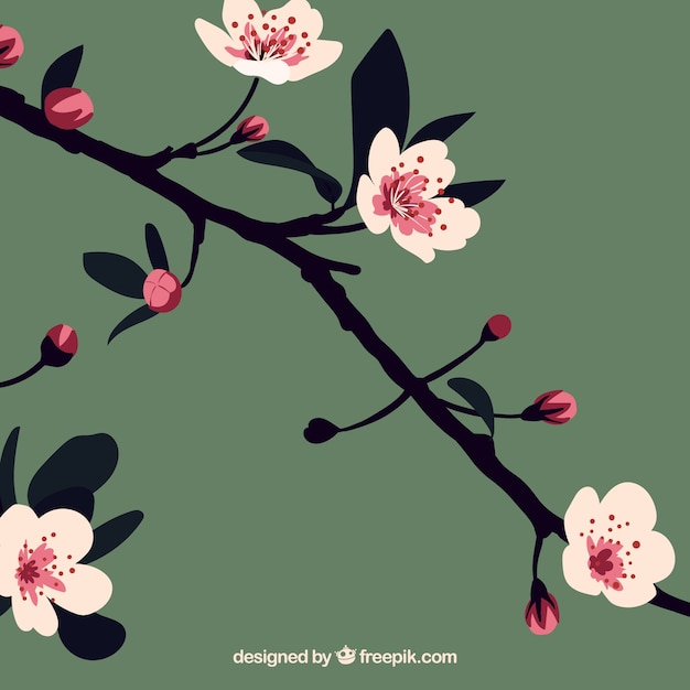 Free vector detailed cherry blossom background