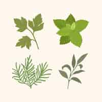 Free vector detailed essential oil herb set