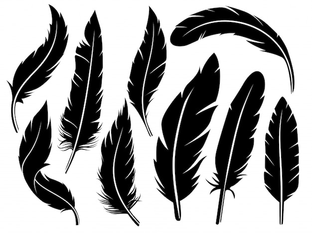 Download Feathers Vectors, Photos and PSD files | Free Download