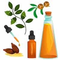 Free vector detailed jojoba element collection