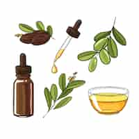 Vettore gratuito raccolta dettagliata di elementi di jojoba