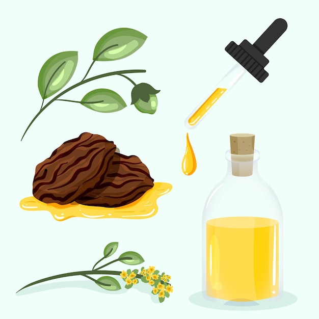 Vettore gratuito raccolta dettagliata di elementi di jojoba