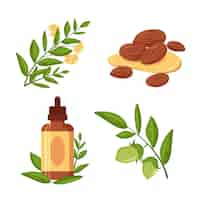 Free vector detailed jojoba element pack