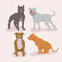 Free vector detailed pitbull dogs collection