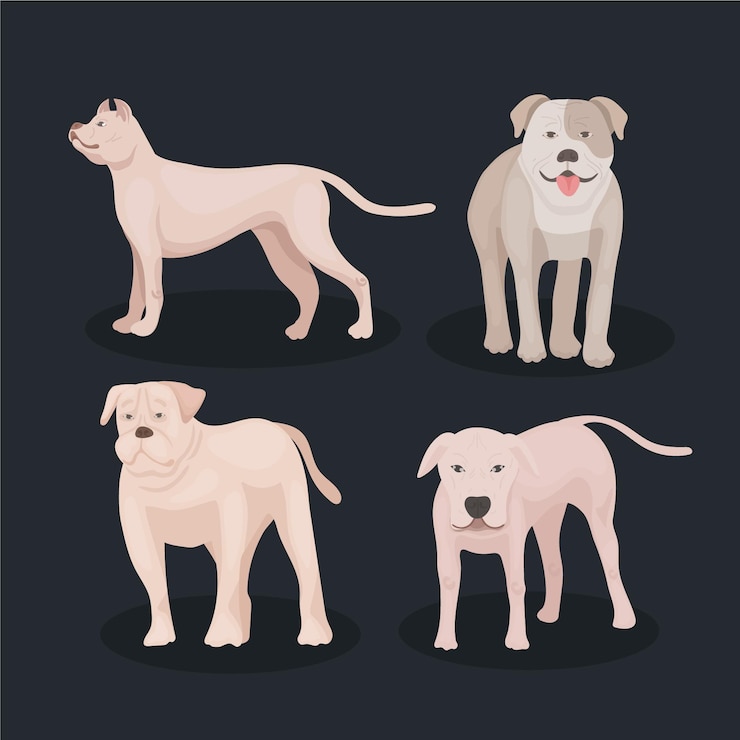 무료 Vector 자세한 핏불 개 컬렉션