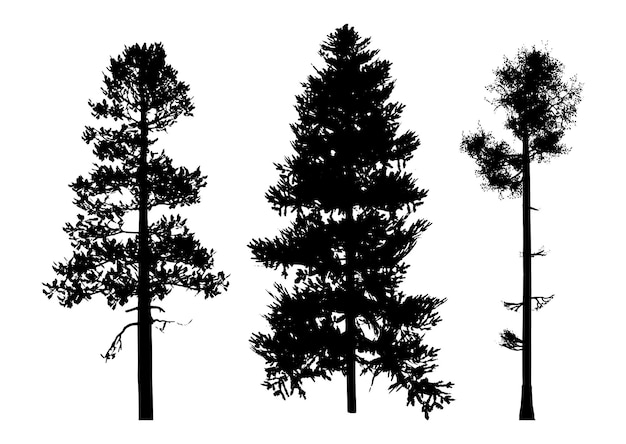Detailed tree silhouettes collection