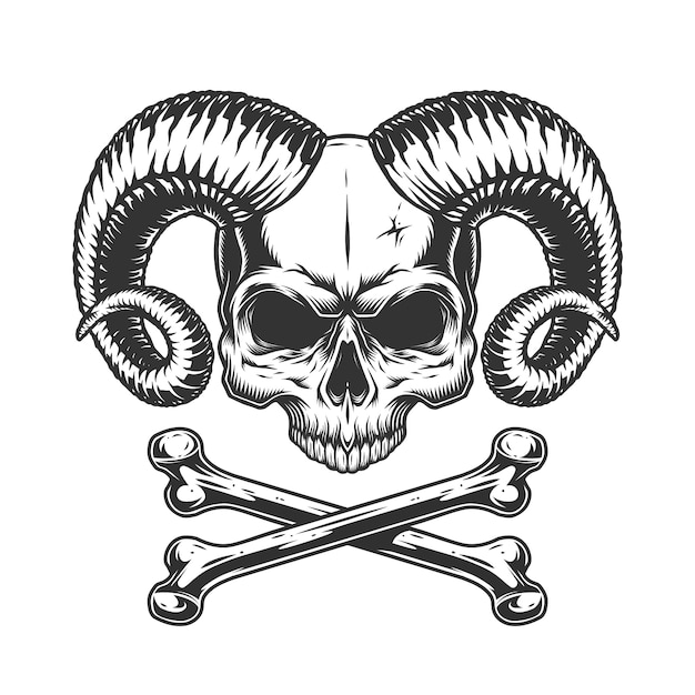 Skull and bones Royalty Free Vector Image - VectorStock