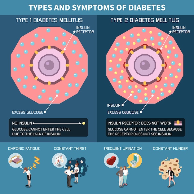 Free vector diabetes isometric infographics with types and symptoms of desease vector illustration