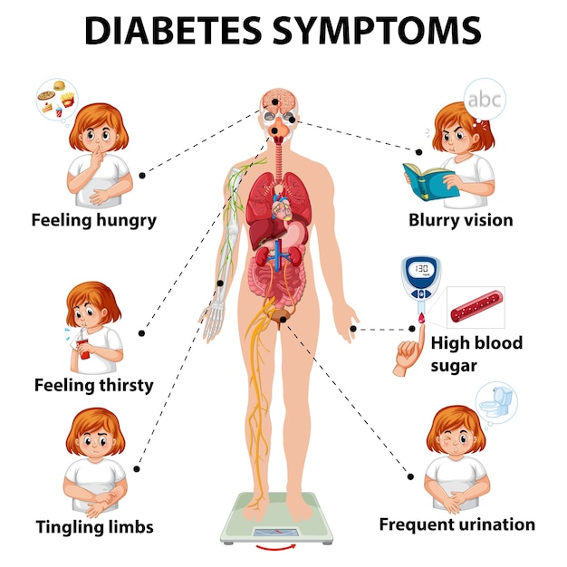 Free vector diabetes symptoms information infographic