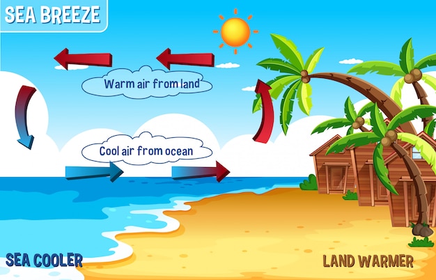 Diagramma della brezza marina con terra e acqua