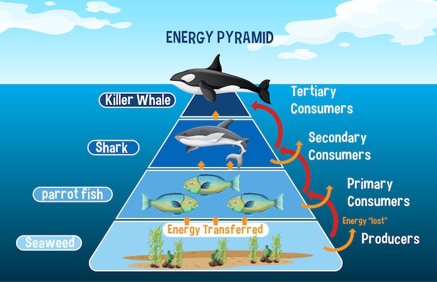 ocean decomposers