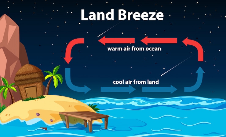 Free Vector diagram showing circulation of land breeze