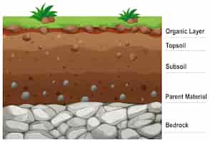 Бесплатное векторное изображение Диаграмма, показывающая различные слои почвы