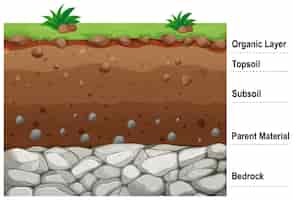 무료 벡터 토양의 다른 층을 보여주는 다이어그램