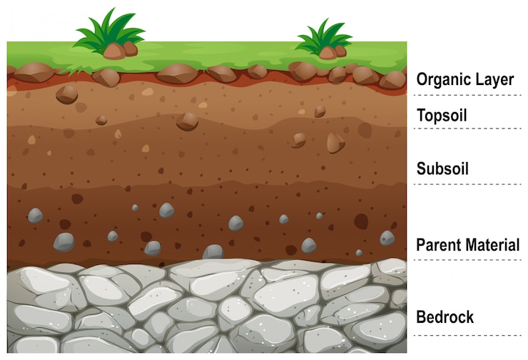 Free Vector diagram showing different layers of soil
