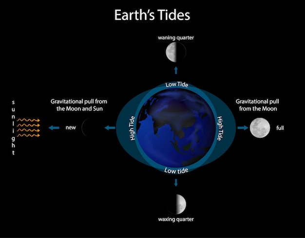 Free vector diagram showing earth tide