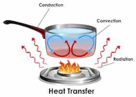 Vettore gratuito diagramma che mostra come il trasferimento di calore