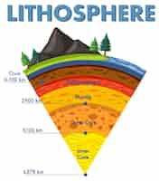 Vettore gratuito diagramma che mostra gli strati della litosfera terrestre