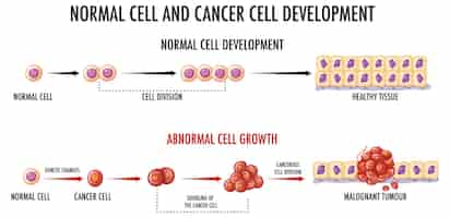 Vettore gratuito diagramma che mostra la cellula normale e quella cancerosa